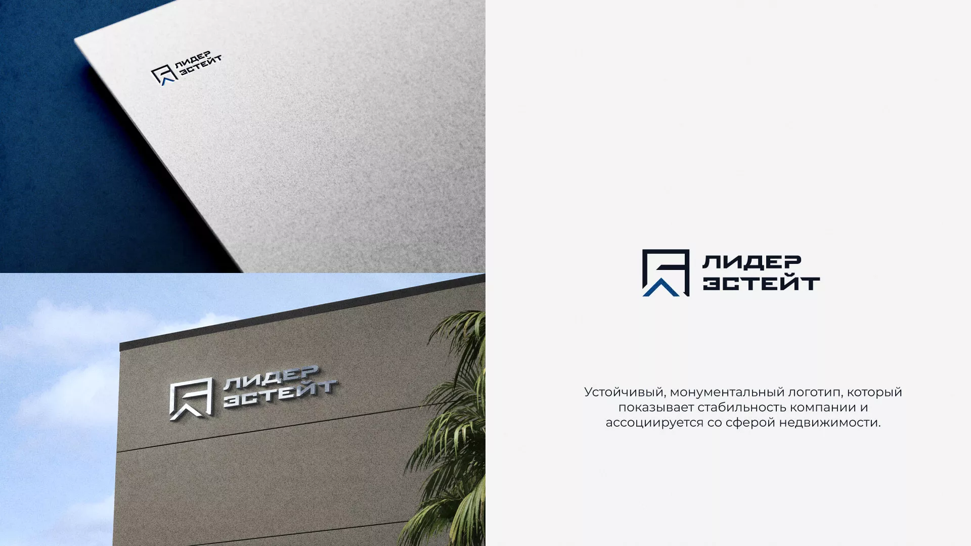 Разработка логотипа агентства недвижимости «Лидер Эстейт» в Тулуне