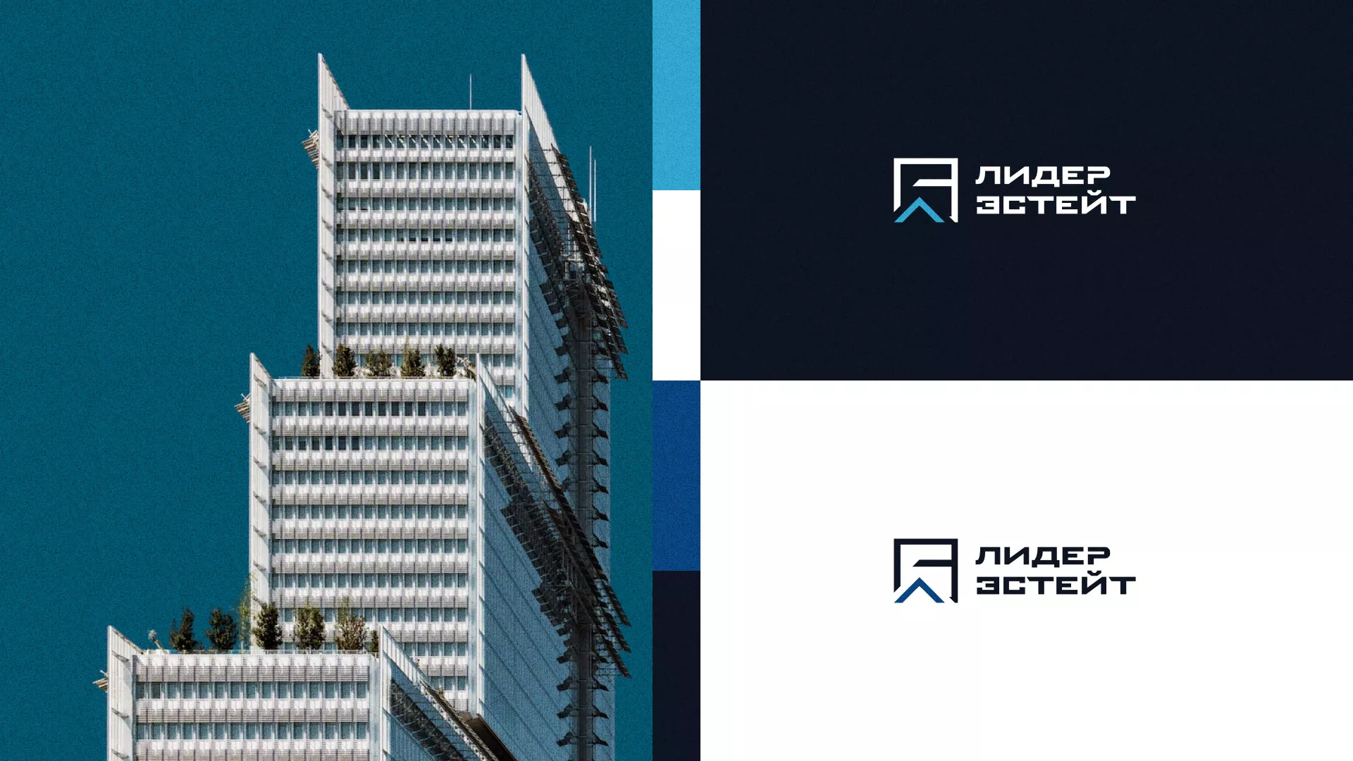 Разработка логотипа агентства недвижимости «Лидер Эстейт» в Тулуне