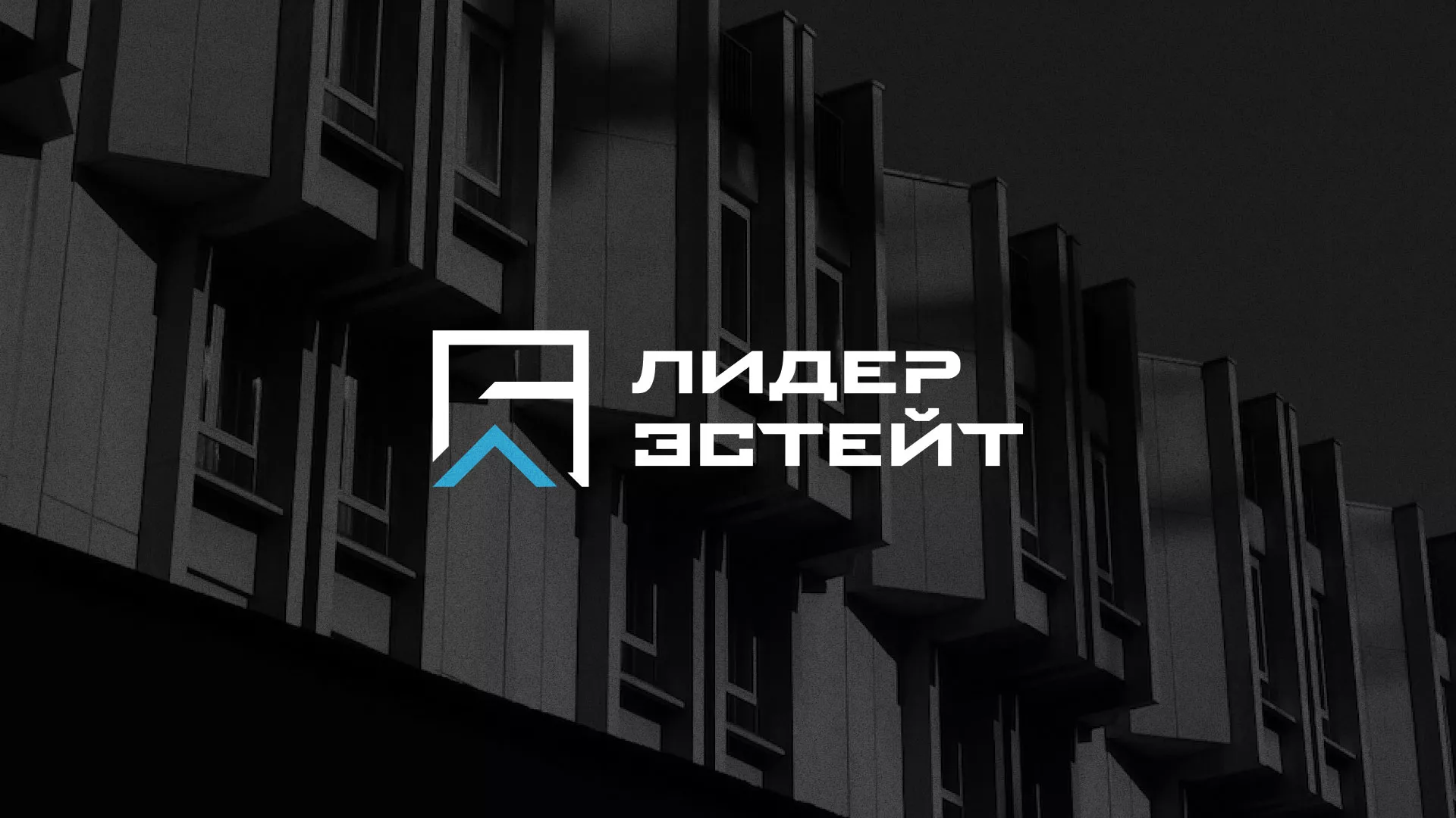 Разработка логотипа агентства недвижимости «Лидер Эстейт» в Тулуне